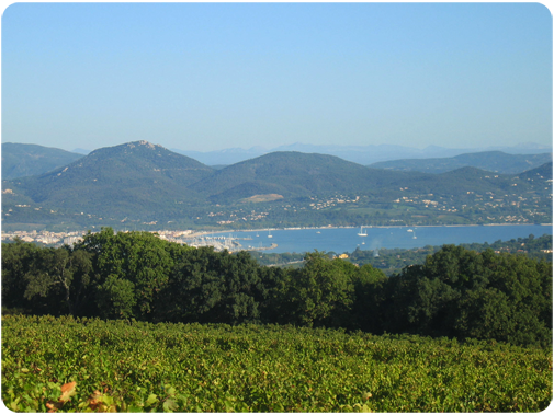 golfe de saint tropez 505